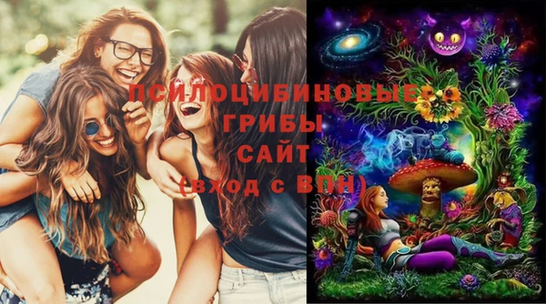 винт Коряжма